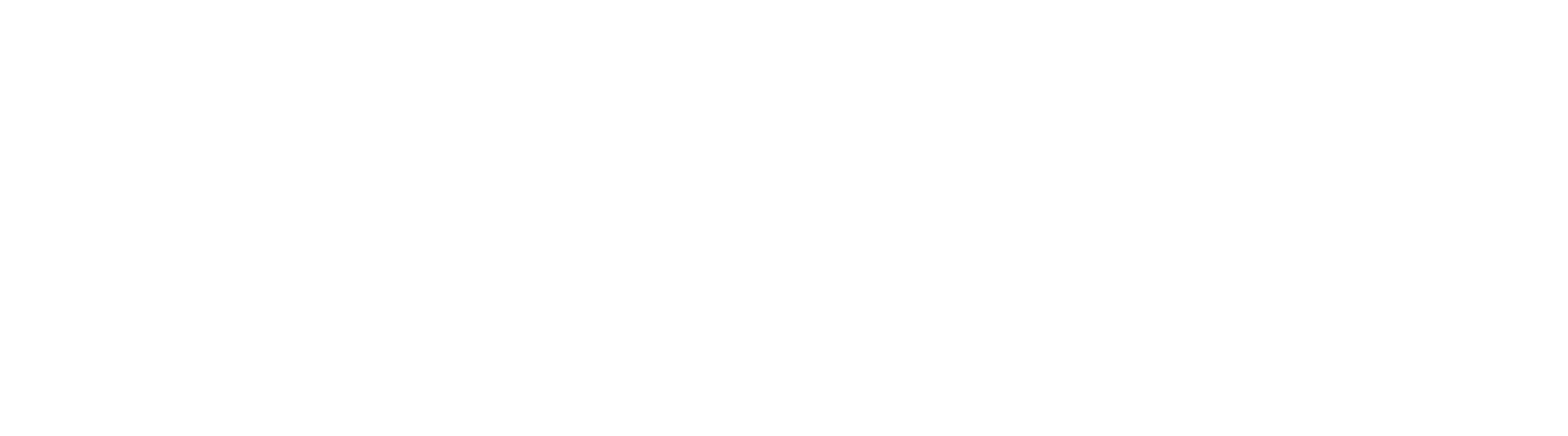 VAP Logo